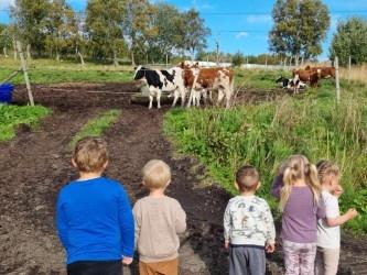 Senja kommune - Gibostad barnehage